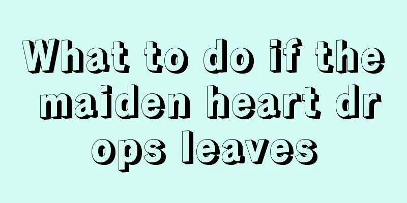 What to do if the maiden heart drops leaves