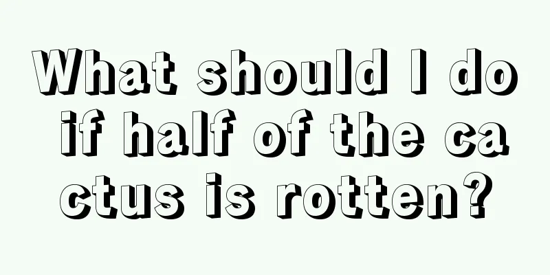 What should I do if half of the cactus is rotten?