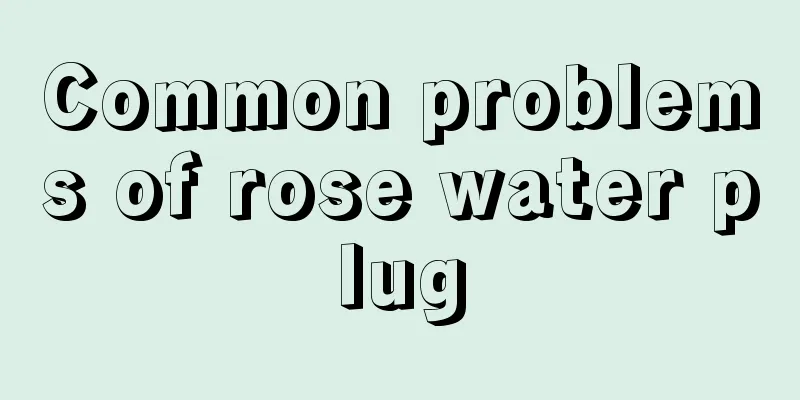 Common problems of rose water plug