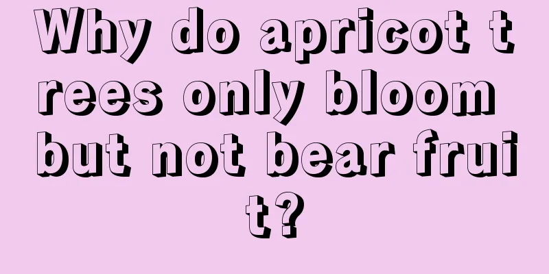 Why do apricot trees only bloom but not bear fruit?