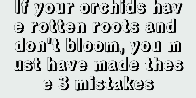 If your orchids have rotten roots and don't bloom, you must have made these 3 mistakes