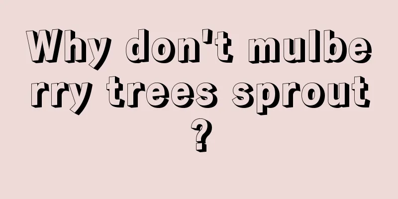 Why don't mulberry trees sprout?