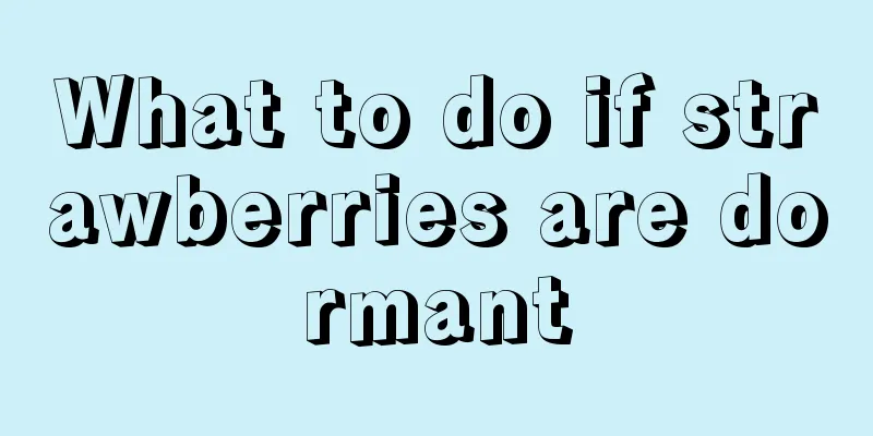 What to do if strawberries are dormant