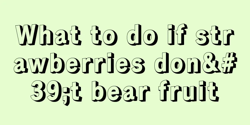 What to do if strawberries don't bear fruit