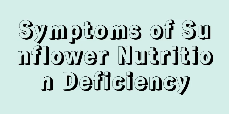 Symptoms of Sunflower Nutrition Deficiency