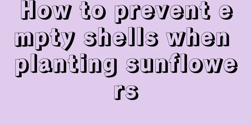 How to prevent empty shells when planting sunflowers