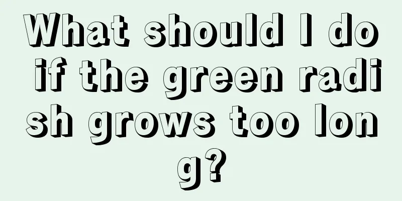 What should I do if the green radish grows too long?