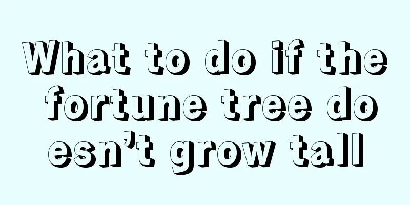 What to do if the fortune tree doesn’t grow tall