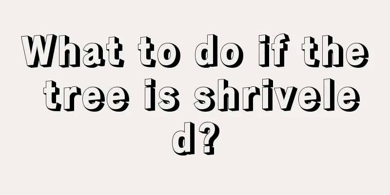 What to do if the tree is shriveled?