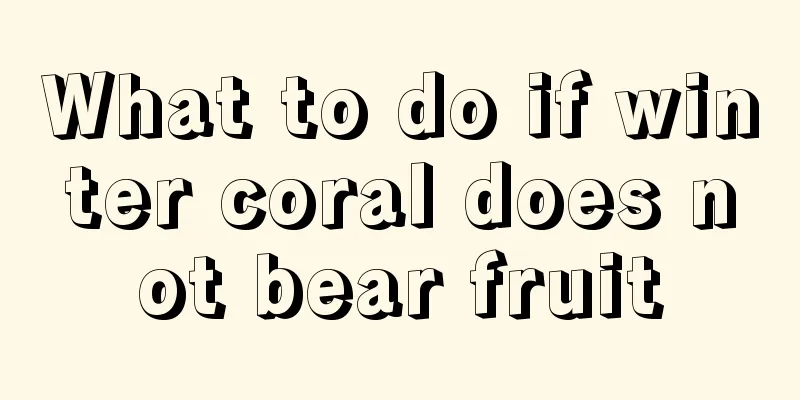 What to do if winter coral does not bear fruit