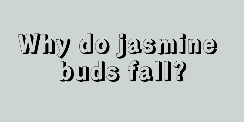 Why do jasmine buds fall?