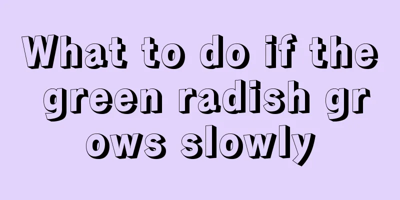 What to do if the green radish grows slowly