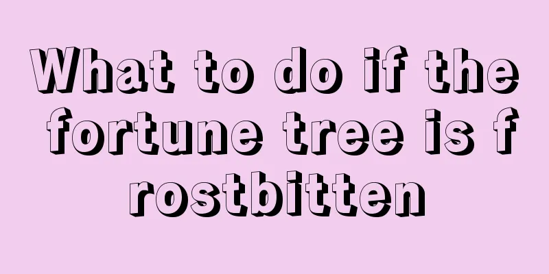 What to do if the fortune tree is frostbitten