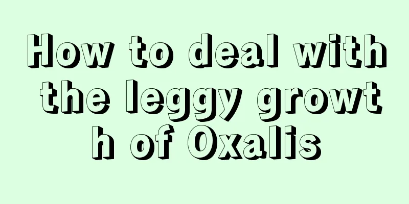 How to deal with the leggy growth of Oxalis