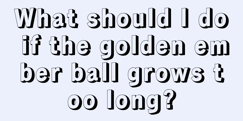 What should I do if the golden ember ball grows too long?