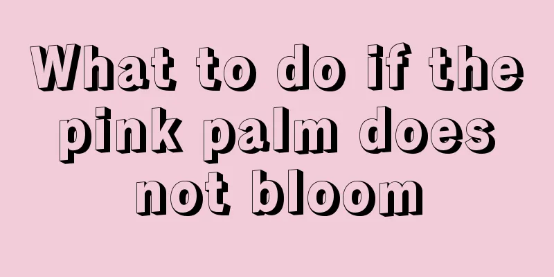 What to do if the pink palm does not bloom