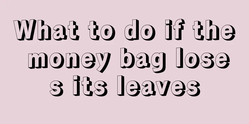 What to do if the money bag loses its leaves