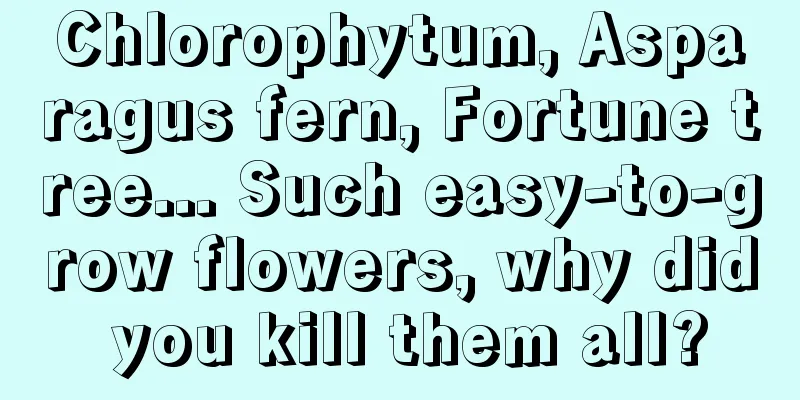 Chlorophytum, Asparagus fern, Fortune tree... Such easy-to-grow flowers, why did you kill them all?