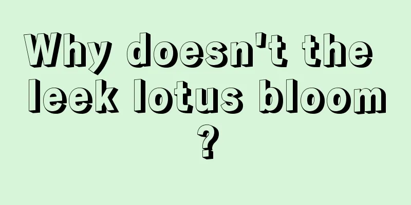 Why doesn't the leek lotus bloom?