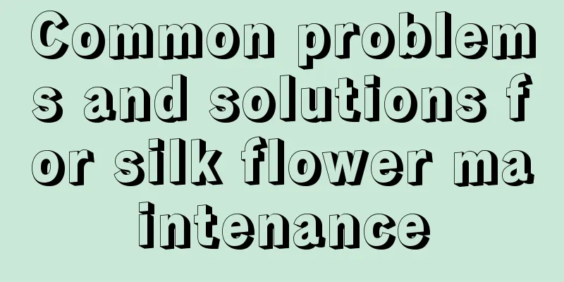 Common problems and solutions for silk flower maintenance