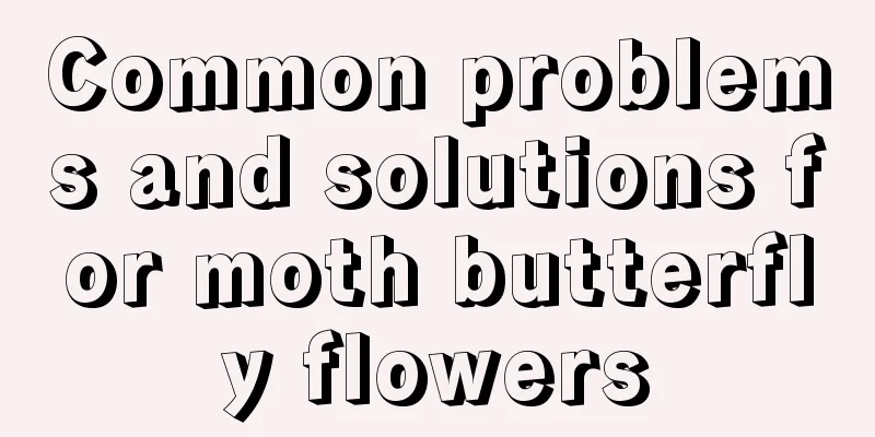 Common problems and solutions for moth butterfly flowers