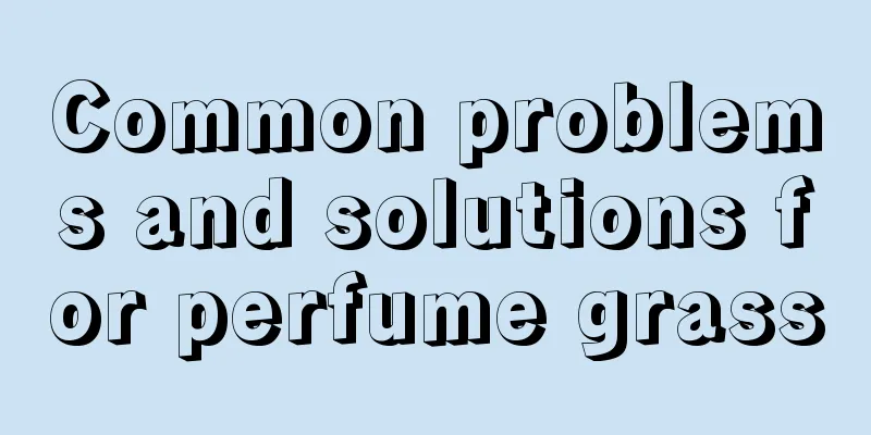 Common problems and solutions for perfume grass