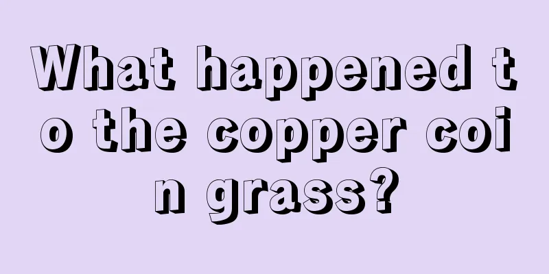 What happened to the copper coin grass?