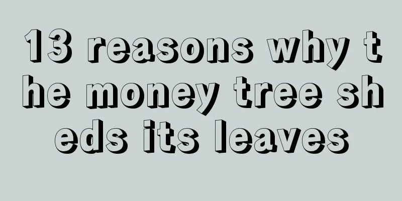 13 reasons why the money tree sheds its leaves