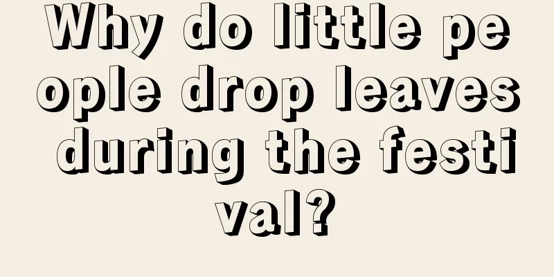 Why do little people drop leaves during the festival?