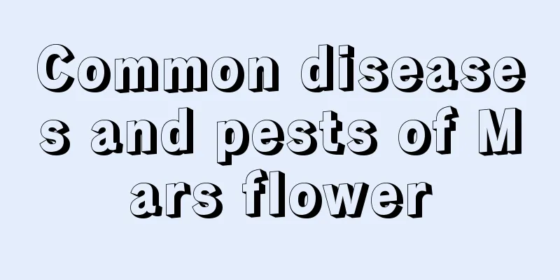 Common diseases and pests of Mars flower