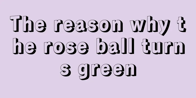 The reason why the rose ball turns green