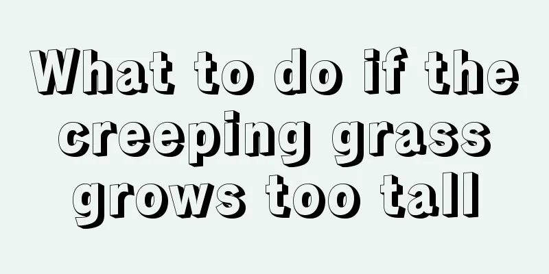 What to do if the creeping grass grows too tall