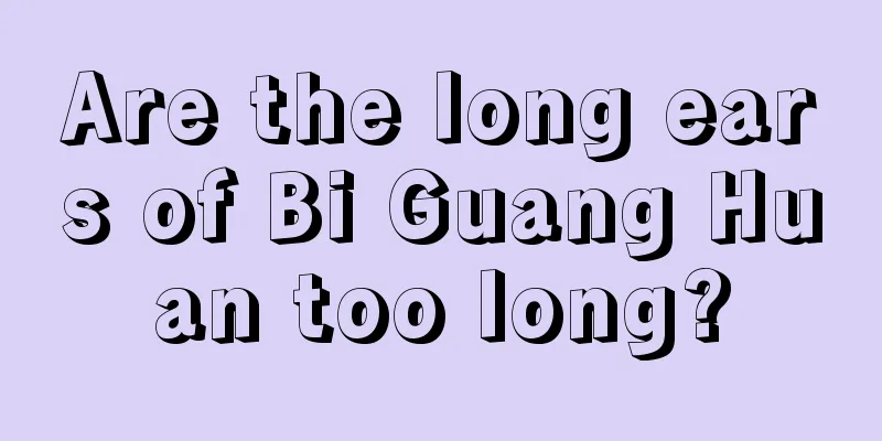 Are the long ears of Bi Guang Huan too long?