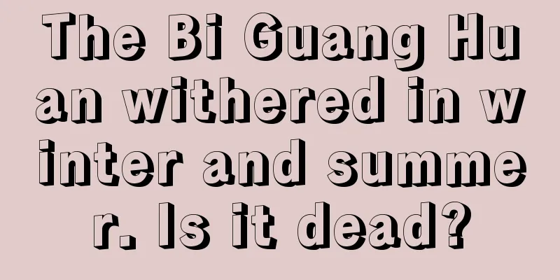 The Bi Guang Huan withered in winter and summer. Is it dead?