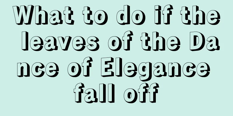 What to do if the leaves of the Dance of Elegance fall off