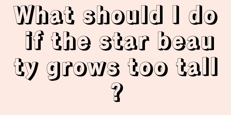 What should I do if the star beauty grows too tall?