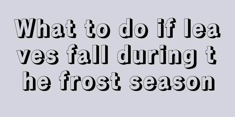 What to do if leaves fall during the frost season