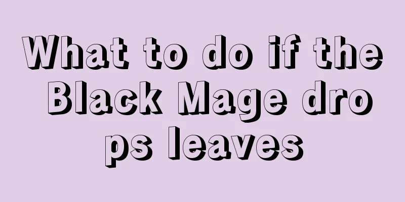 What to do if the Black Mage drops leaves