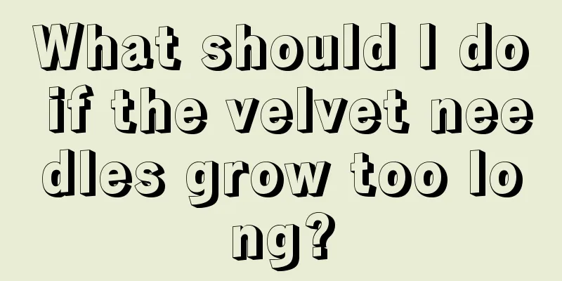 What should I do if the velvet needles grow too long?