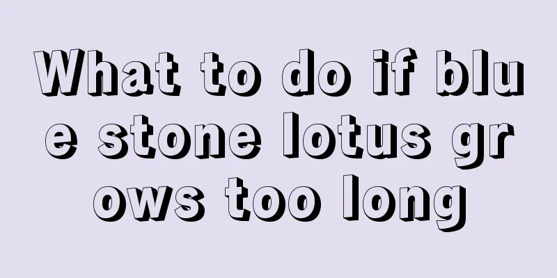 What to do if blue stone lotus grows too long