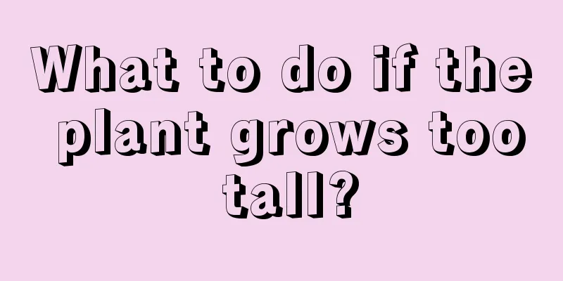 What to do if the plant grows too tall?