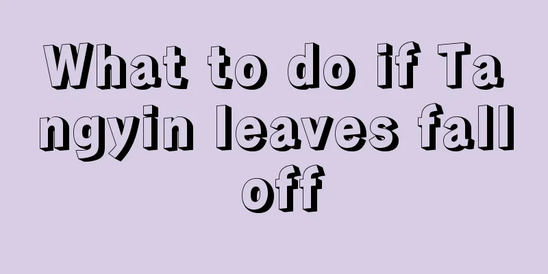 What to do if Tangyin leaves fall off