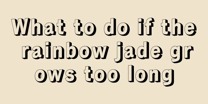 What to do if the rainbow jade grows too long