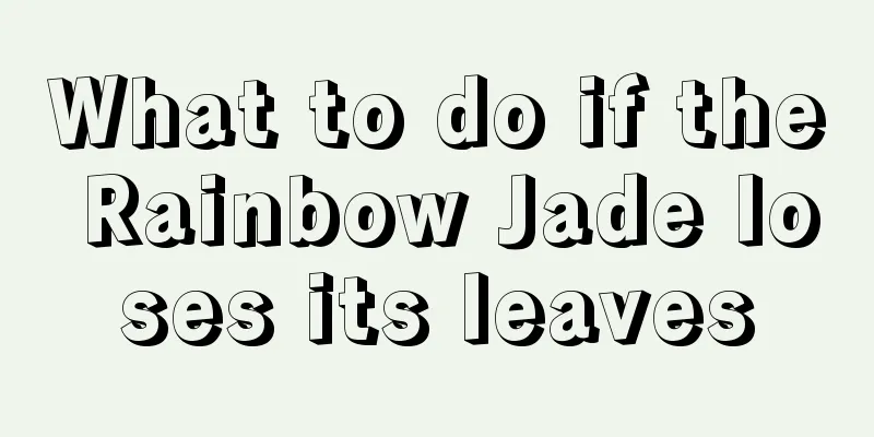 What to do if the Rainbow Jade loses its leaves