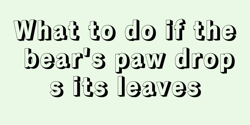 What to do if the bear's paw drops its leaves