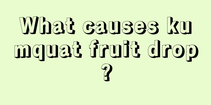 What causes kumquat fruit drop?