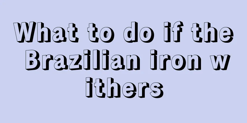 What to do if the Brazilian iron withers