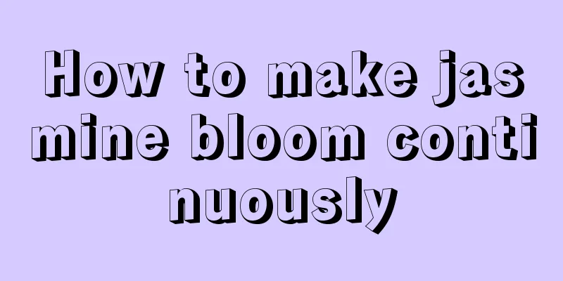 How to make jasmine bloom continuously