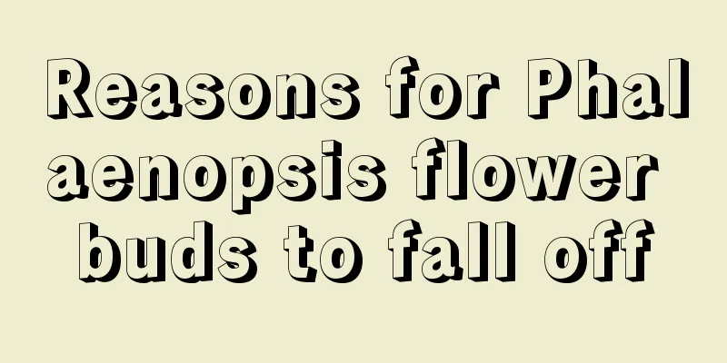 Reasons for Phalaenopsis flower buds to fall off