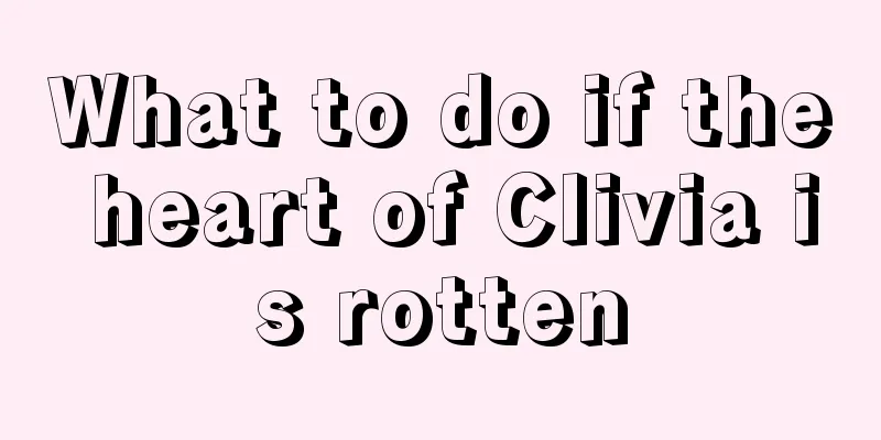 What to do if the heart of Clivia is rotten